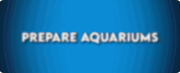 【经营SLG/中文】建造水族馆,繁殖鱼类,拓展你的业务! – Aquarist V1.1 官方中文【12G/新作】