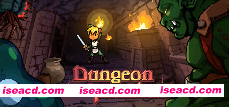 地城谜踪/Dungeon and Puzzles