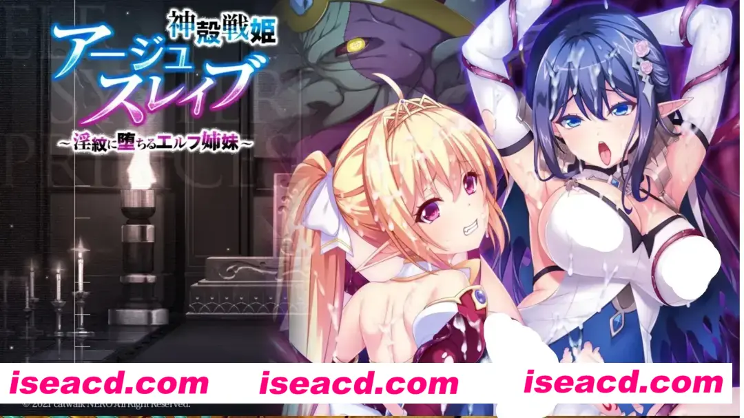 【日式ADV/AI汉化】神壳战姬阿修斯雷芙~堕入银纹的精灵姐妹 神殻戦姫アージュスレイブ ~银紋に堕ちるエルフ姉妹 AI汉化版【4.3G/全CV】