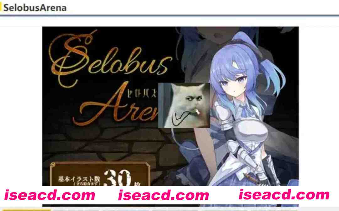 [日式RPG/AI汉化] 塞洛布斯竞技场 SelobusArena AI汉化版 [2.8G/新作/CV]