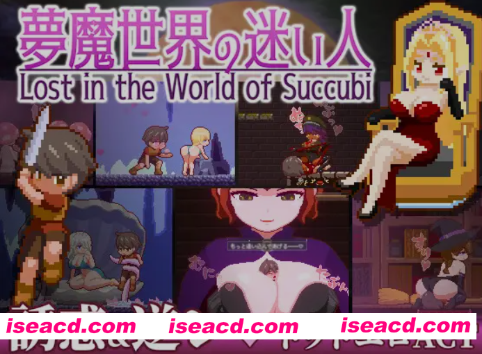 [ACT/中文/像素步兵] [しもふみ屋] 沉沦梦魔世界 夢魔世界の迷い人 v1.0.3 STEAM官方中文步兵版 [100M/新作]