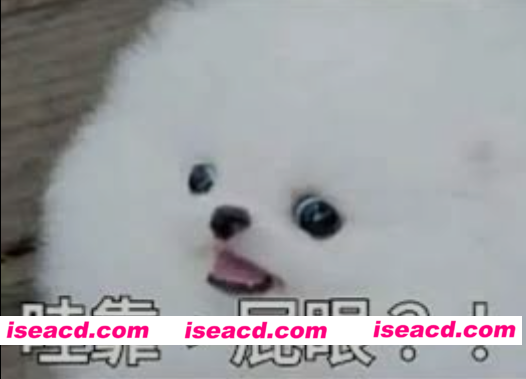 [视频/步兵/大合集] 屁眼专精！ 40部精选扩张/爆肛/各种福利姬嫩屁合集 [40V] [27G]